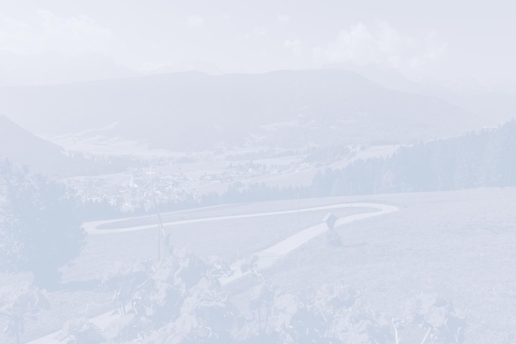 parallax layer